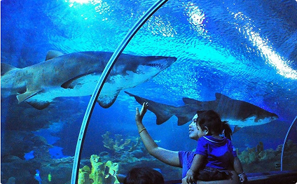 Aquaria KLCC, Kuala Lumpur